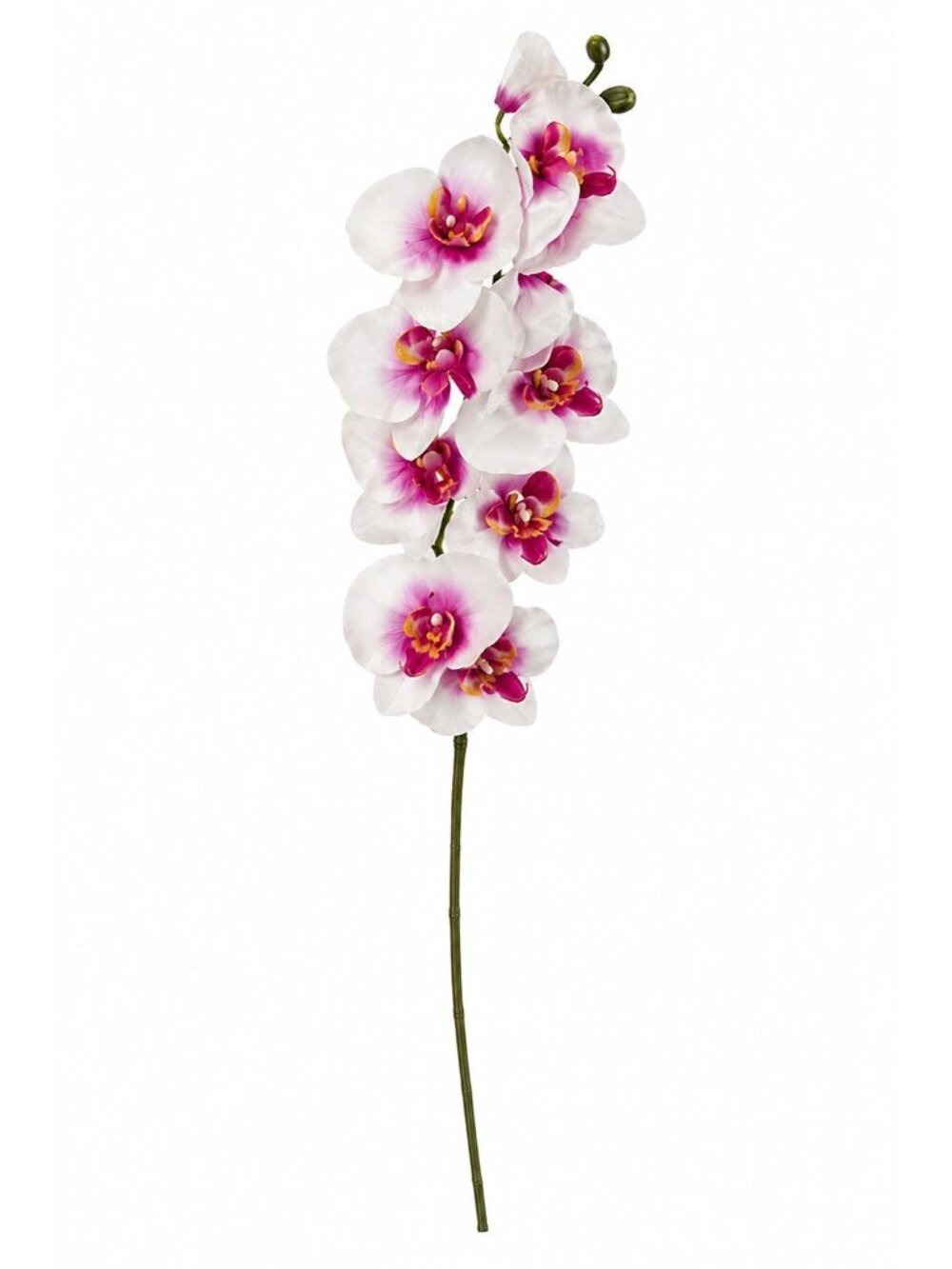 White Orchid Stem Artificial Silk 25 Inch Phalaenopsis Flower Wedding Decor